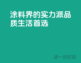 涂料界的实力派，品质生活首选