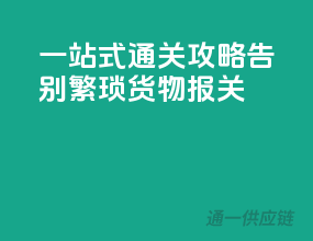 一站式通关攻略，告别繁琐货物报关