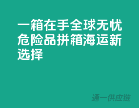 一箱在手，全球无忧——危险品拼箱海运新选择