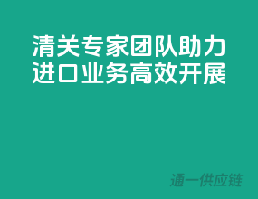 清关专家团队，助力进口业务高效开展