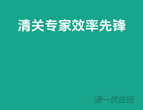 清关专家，效率先锋