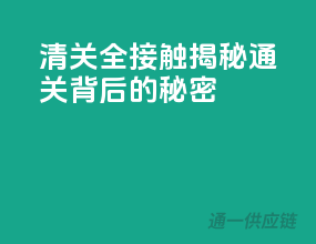 清关全接触：揭秘通关背后的秘密