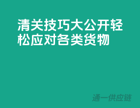 清关技巧大公开，轻松应对各类货物