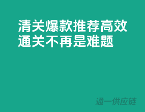 清关爆款推荐，高效通关不再是难题