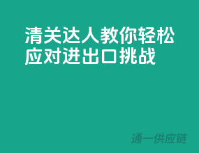 清关达人教你：轻松应对进出口挑战