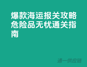 爆款海运报关攻略：危险品无忧通关指南
