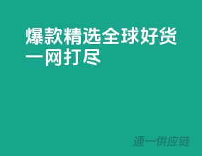爆款精选，全球好货一网打尽