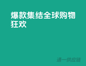 爆款集结，全球购物狂欢