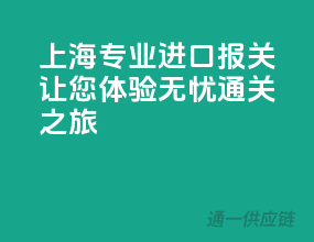 上海专业进口报关，让您体验无忧通关之旅