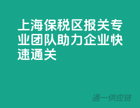 上海保税区报关，专业团队助力企业快速通关