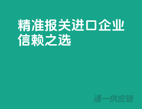 精准报关，进口企业信赖之选