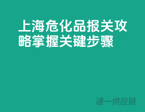 上海危化品报关攻略，掌握关键步骤