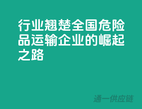 行业翘楚：全国危险品运输企业的崛起之路