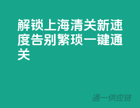 解锁上海清关新速度，告别繁琐，一键通关