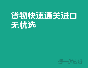 货物快速通关，进口无忧选