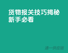 货物报关技巧揭秘，新手必看