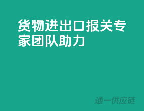 货物进出口，报关专家团队助力