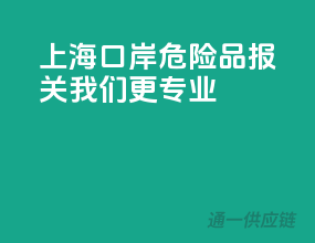 上海口岸危险品报关，我们更专业