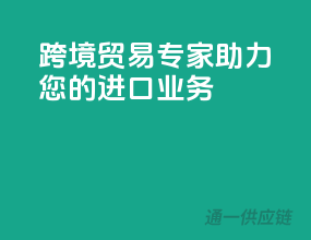 跨境贸易专家，助力您的进口业务！