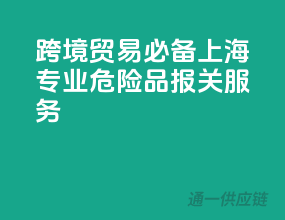 跨境贸易必备，上海专业危险品报关服务