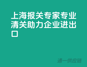 上海报关专家，专业清关，助力企业进出口