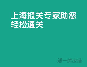 上海报关专家，助您轻松通关！