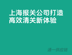上海报关公司，打造高效清关新体验