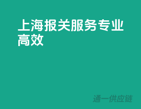 上海报关服务，专业高效
