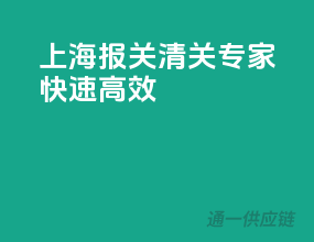 上海报关清关专家，快速高效