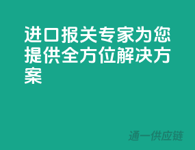 进口报关专家，为您提供全方位解决方案！