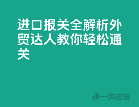 进口报关全解析，外贸达人教你轻松通关！