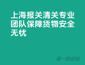 上海报关清关，专业团队，保障货物安全无忧