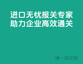 进口无忧，报关专家，助力企业高效通关