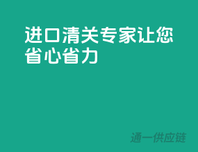 进口清关专家，让您省心省力