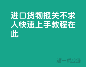 进口货物报关不求人，快速上手教程在此