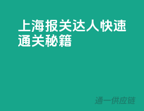 上海报关达人，快速通关秘籍