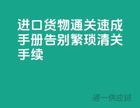 进口货物通关速成手册：告别繁琐清关手续