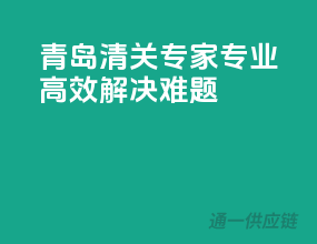 青岛清关专家，专业高效解决难题