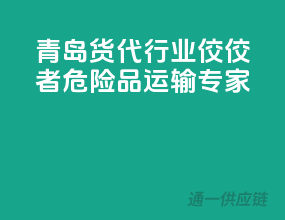 青岛货代行业佼佼者，危险品运输专家
