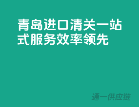 青岛进口清关一站式服务，效率领先！