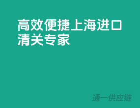 高效便捷，上海进口清关专家