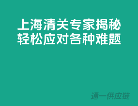 上海清关专家揭秘，轻松应对各种难题