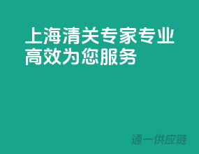 上海清关专家，专业高效为您服务