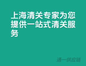 上海清关专家，为您提供一站式清关服务