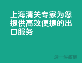 上海清关专家，为您提供高效便捷的出口服务