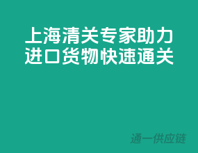 上海清关专家，助力进口货物快速通关