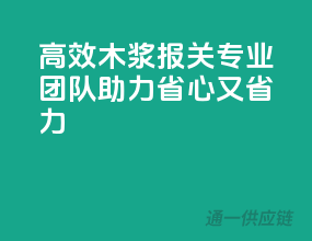 高效木浆报关，专业团队助力，省心又省力