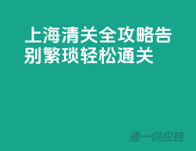 上海清关全攻略：告别繁琐，轻松通关