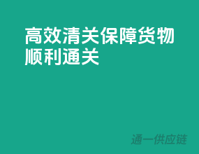 高效清关，保障货物顺利通关