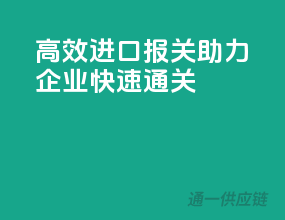 高效进口报关，助力企业快速通关！